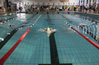 Seniorensportspiele 2019