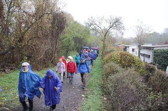 Seniorensportspiele 2019